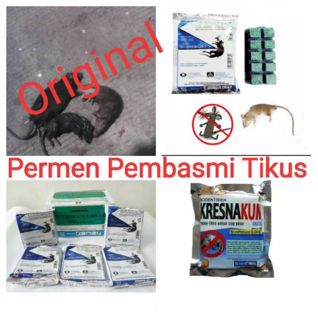 Makassar Racun Tikus Petrokum - Kresnakum / Pembasmi Tikus Bahan Aktif Brodifakum(Murah)