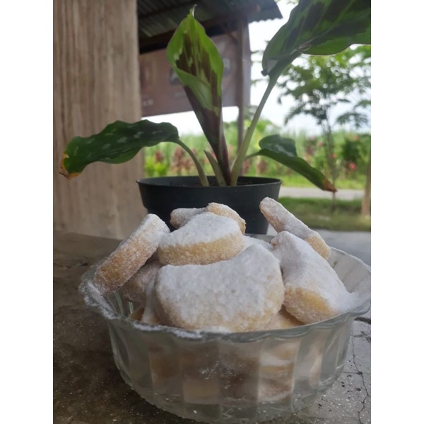 

Putri salju