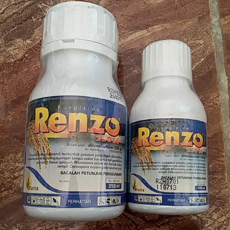 Renzo 250ec