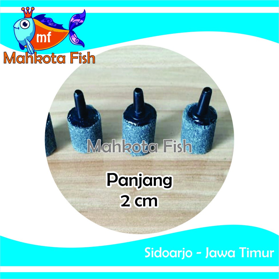 Batu Aerator PANJANG 2 CM | Batu Gelembung | Batu Aerasi | Airstone