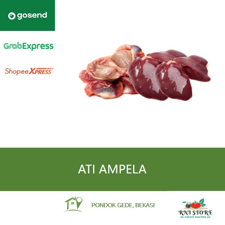 

Ati Ampela Ayam 5 pasang