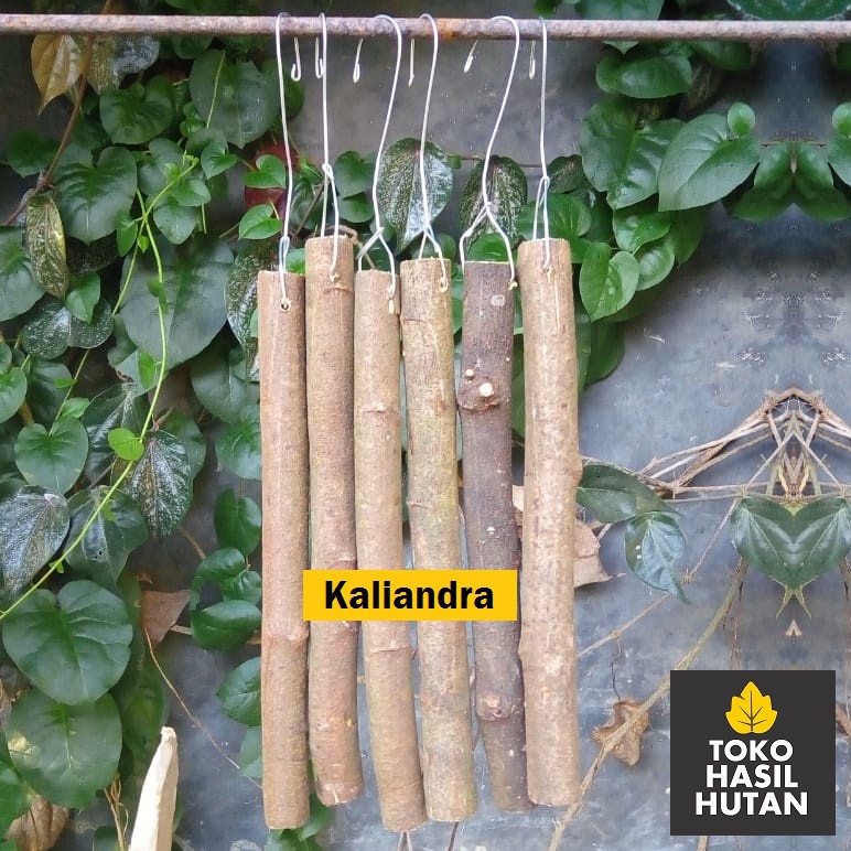 Kayu Kaliandra Media Tanam Anggrek | Toko Hasil Hutan