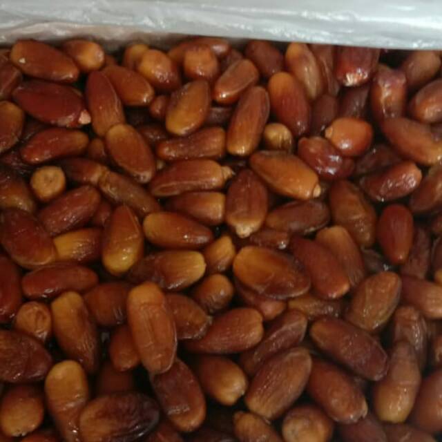 

Kurma Tunisia madu