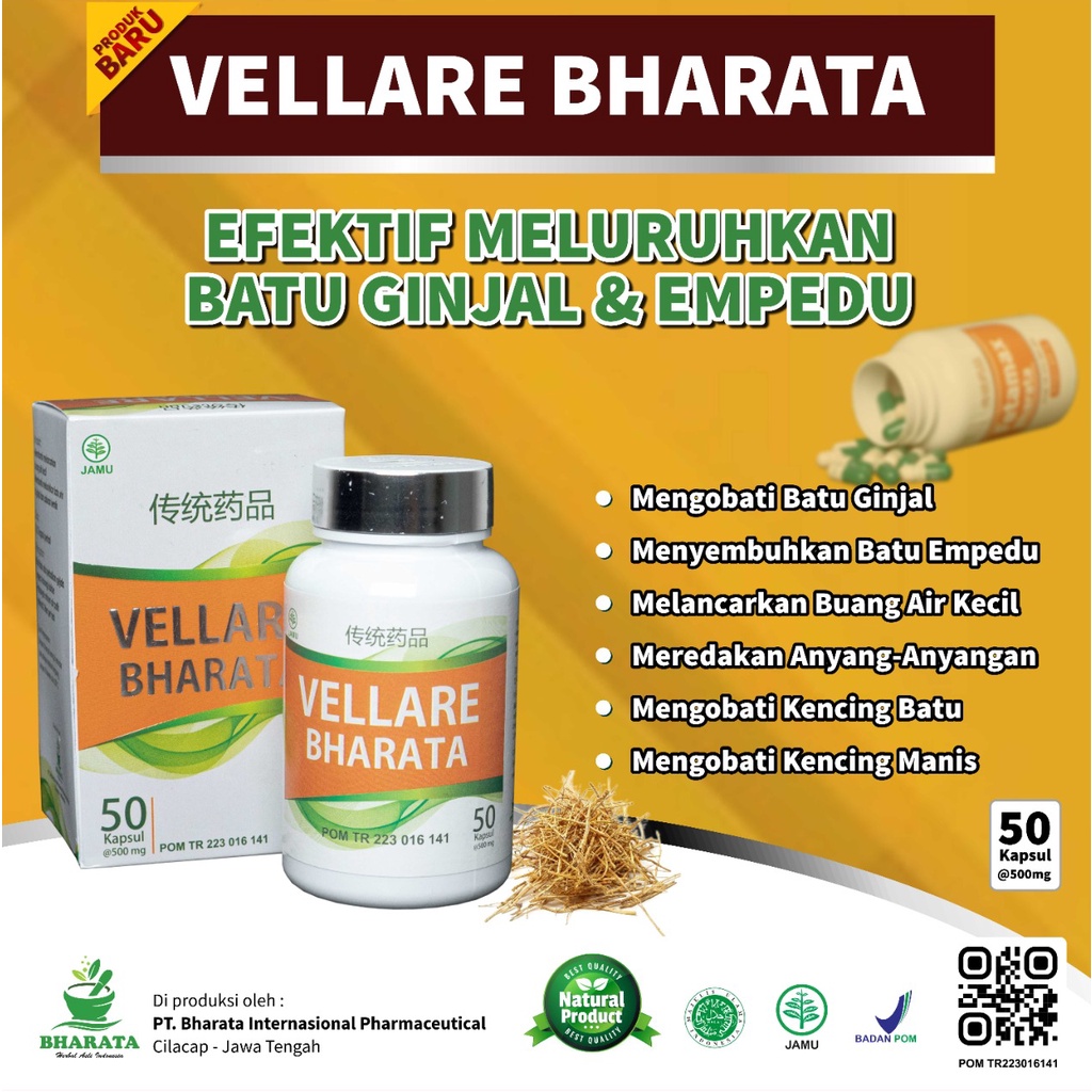 OBAT BATU GINJAL VELLARE BHARATA