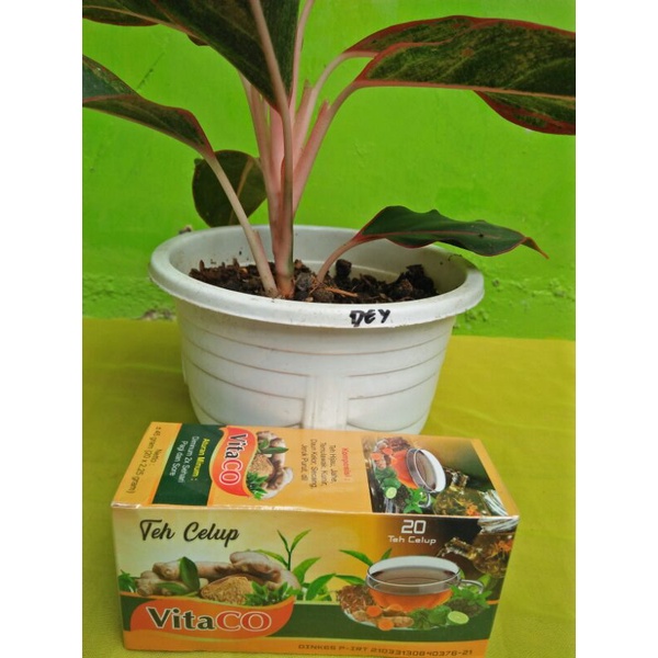 

Teh Celup Herbal VitaCo