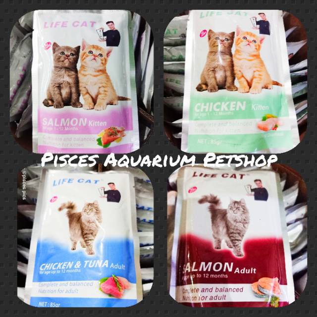 Life Cat Pouch Sachet Makanan Kucing Kitten Adult Shopee Indonesia