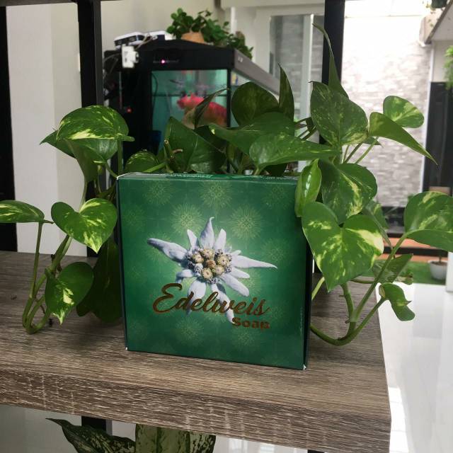 Sabun edelweis