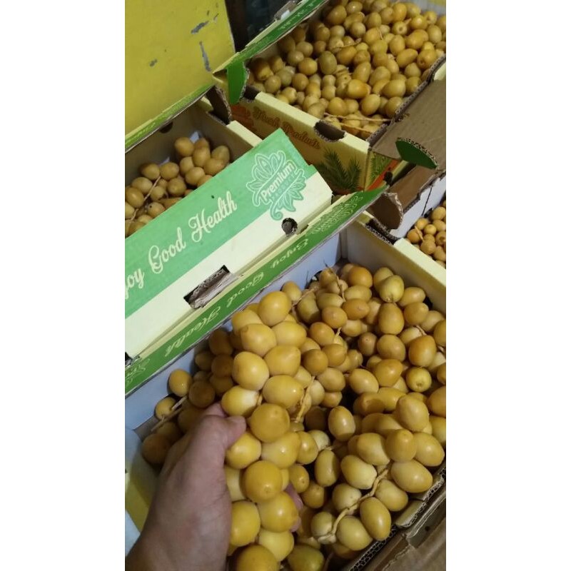 

Kurma muda kurma barhee