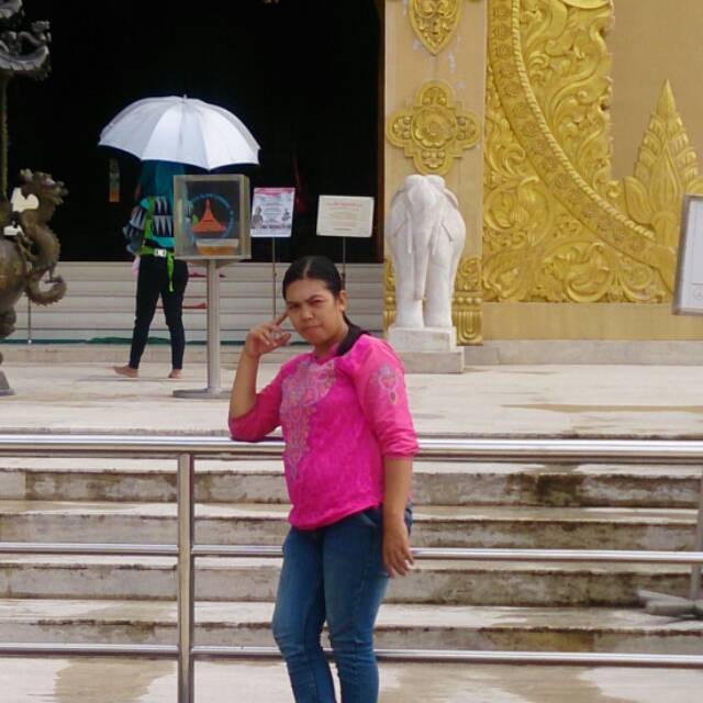 irda_sari