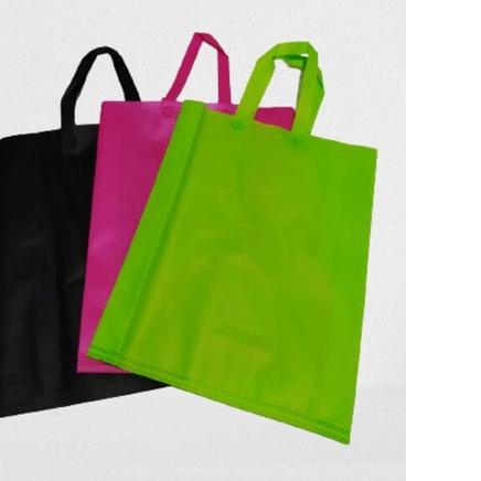 

☆ Tas spunbond 25 x 35 HLS ☪