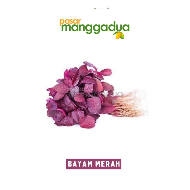 

Daun Bayam Merah Per Ikat / Produk Musiman