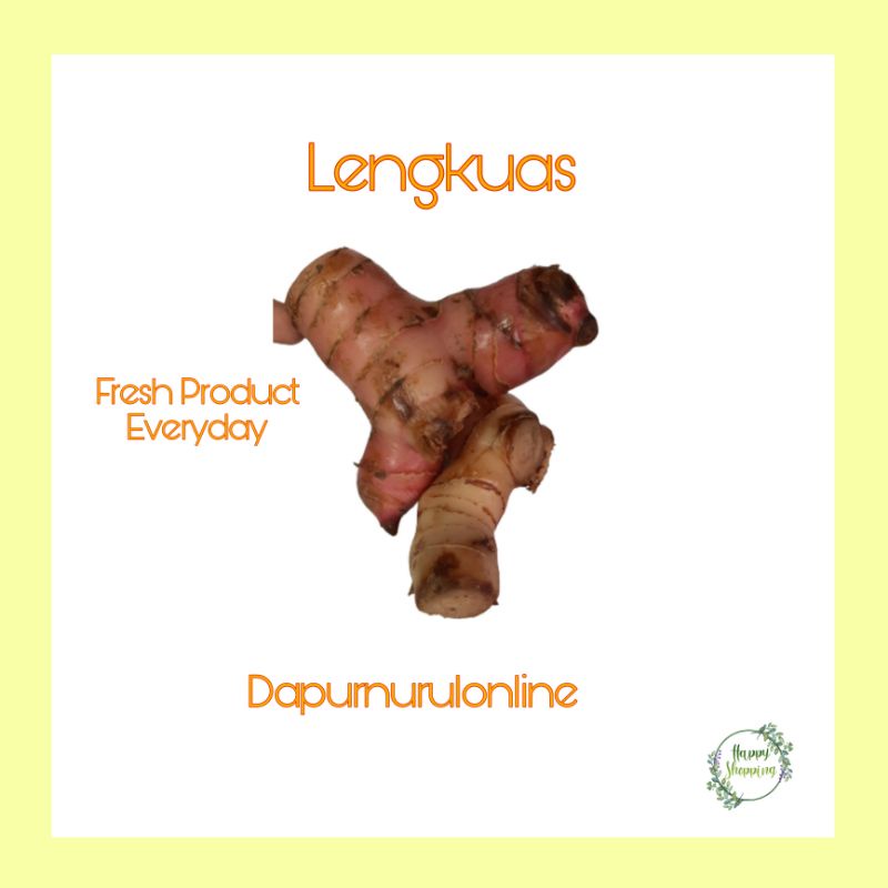 

lengkuas 250 gr - 1 kg