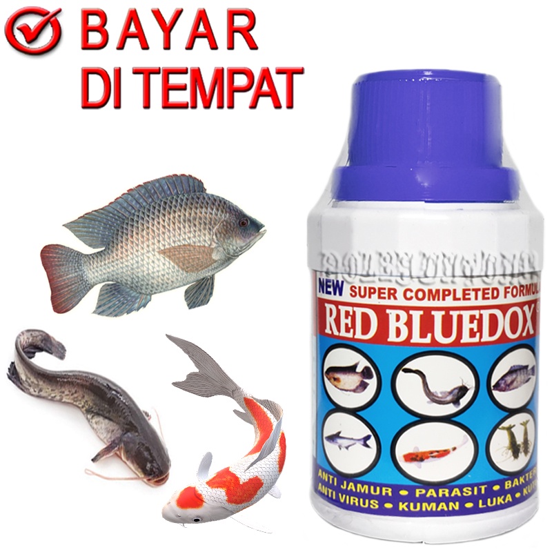 RED BLUEDOX OBAT JAMUR IKAN GURAME MAS PATIN NILA LELE KOI ANTI VIRUS BAWAL TAWES