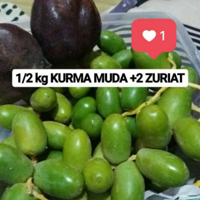 

KURMA MUDA & ZURIAT (PAKET PROMIL)