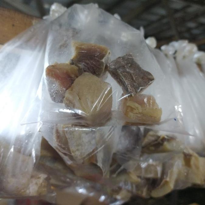 

Big Sale Ikan asin jambal roti Big Sale