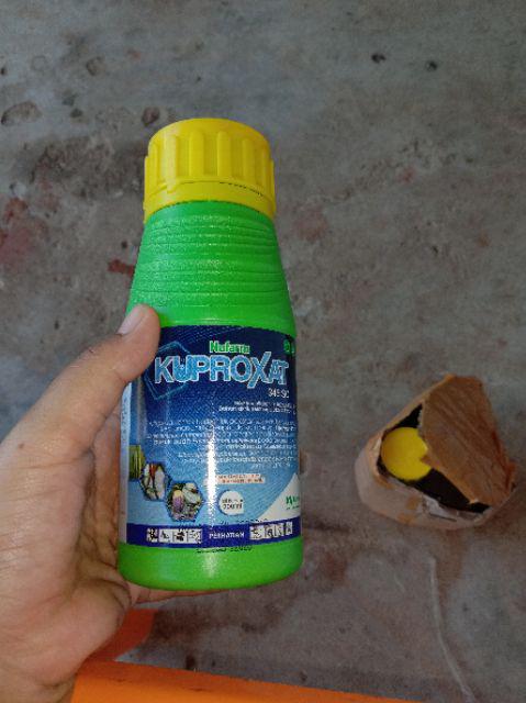 Kuproxat 345sc Isi 200 Ml Fungisida Dan Bakterisida Tembaga