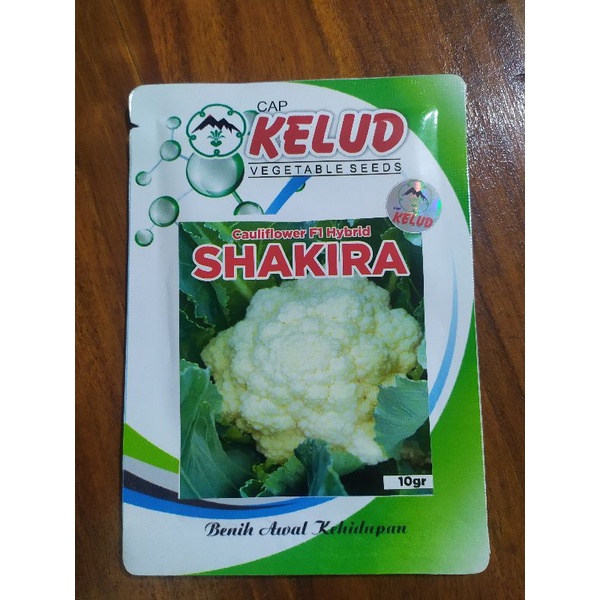 Benih bunga kol SHAKIRA Cauliflower f1 Hybrid (10gr)