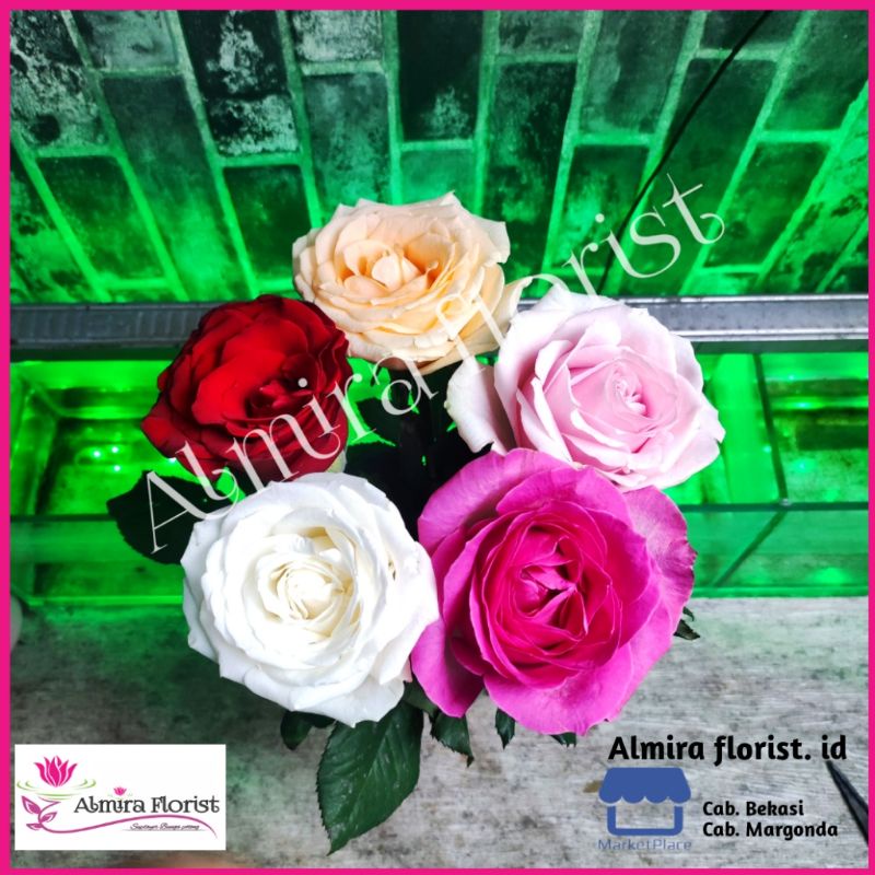 Bunga Mawar asli segar / mawar pertangkai