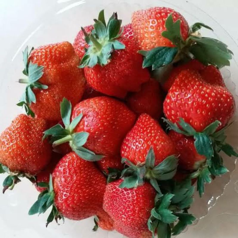 buah strawberry organik