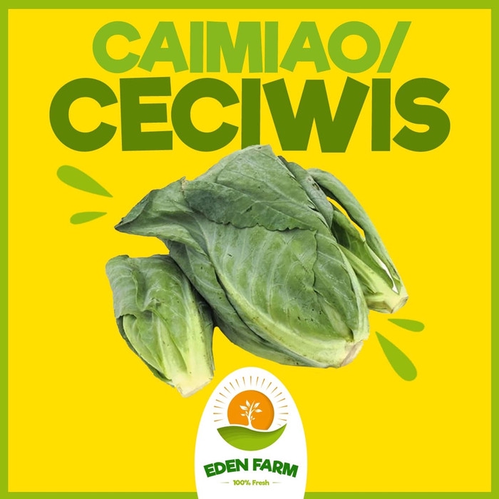 

PROMO CIAOMIAO CECIWIS - SAYUR BUAH MURAH 100% FRESH