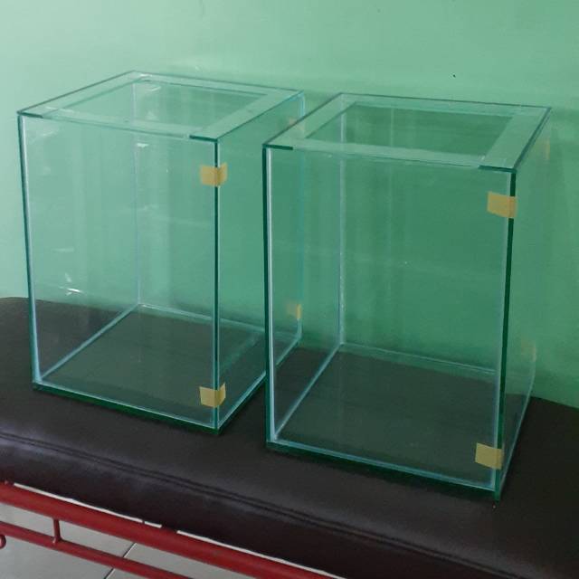 Aquarium Akuarium Progress Ikan Louhan Shopee Indonesia