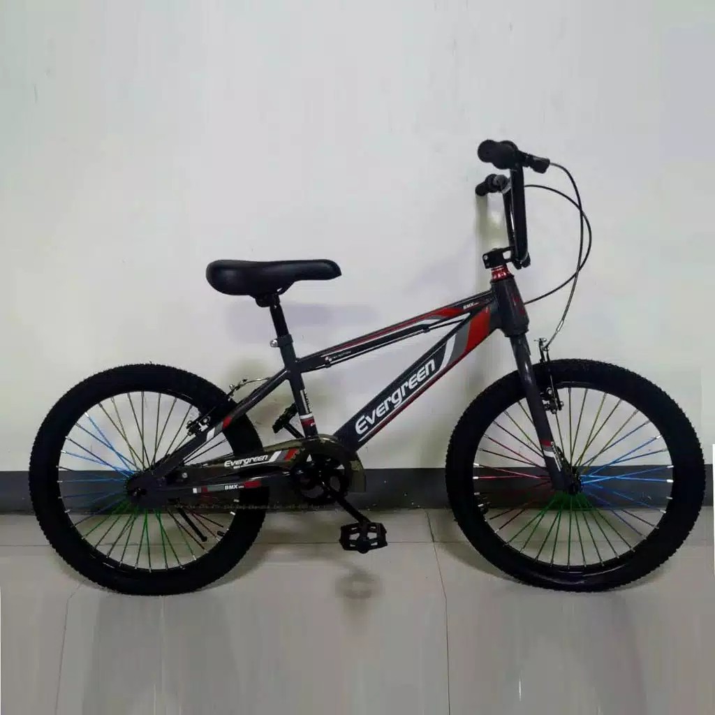 BMX 20" Evergreen Classic B1