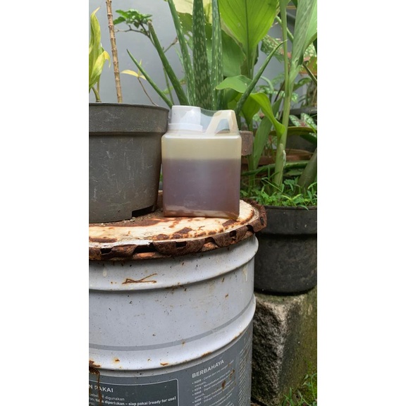 

Sirup madu tejo curah isi bersih 500g
