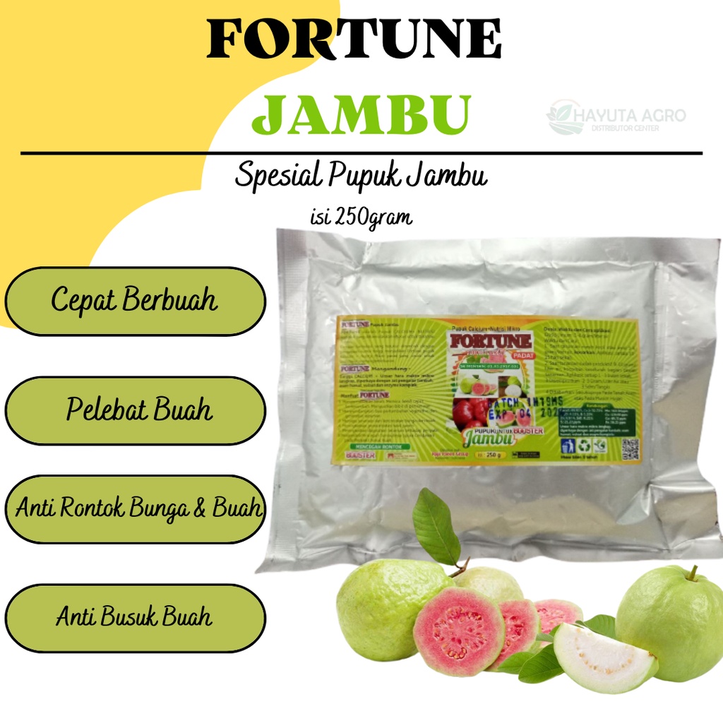 Pupuk Pemicu pembuahan Jambu, Pupuk Pelebat Buah Jambu Mete, Pupuk Organik Jambu Cepat Berbuah