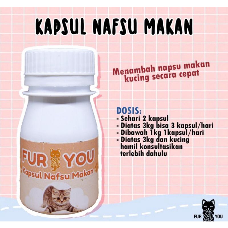 obat kapsul nafsu makan kucing . suplemen nafsu makan kucing