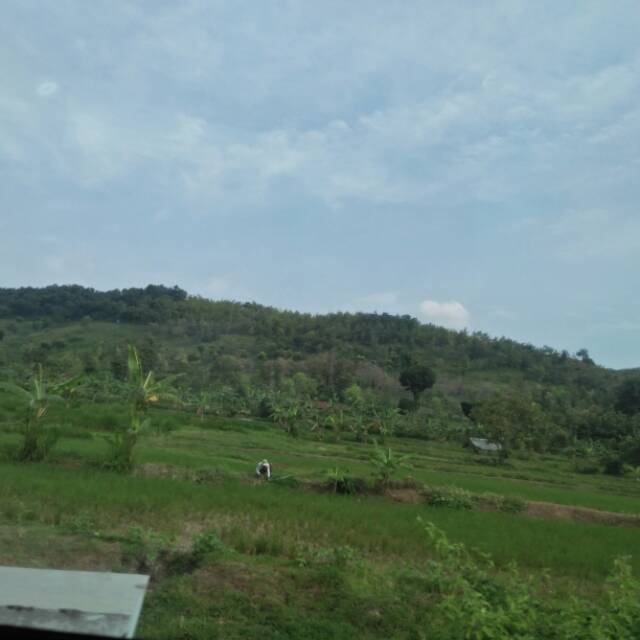 rafiibnusugiarto