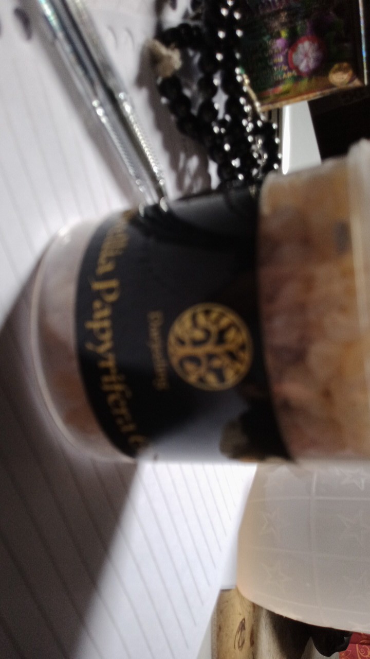 100g Premium Kemenyan Arab Luban Frankincense Boswellia Papyrifera