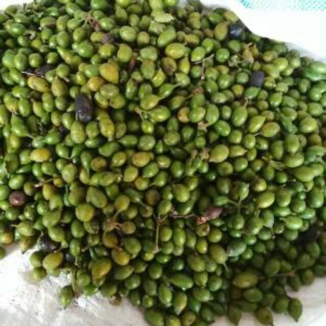 

BIJI GLODOK KWALITAS SUPER.HARGA TERJANGKAU.