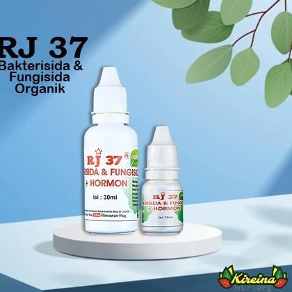 Mall Bakterisida & Fungisida Organik RJ 37 grosir