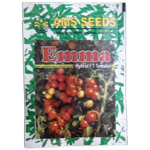 AMS Seed Emma Hybrid F1 Tomato-Benih Tomat- 5 gr