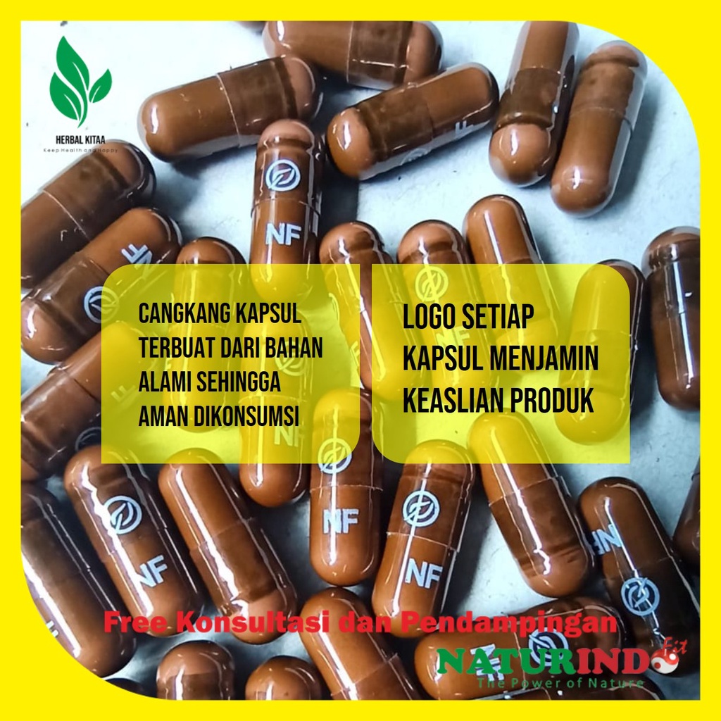 Biolipid Obat Herbal Kolesterol Menghancurkan lemak jahat melancarkan aliran darah Naturindo-6