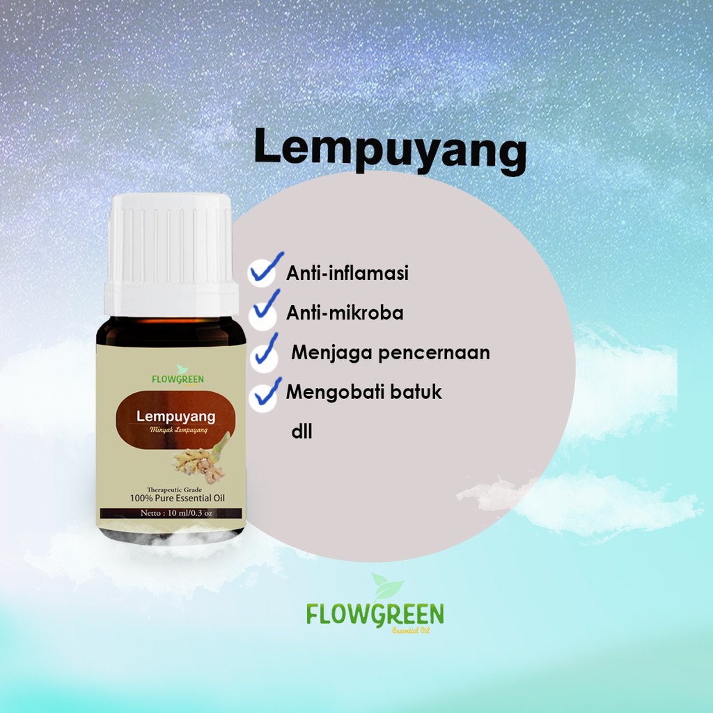 FLOWGREEN LEMPUYANG ESSENTIAL OIL DIFFUSER HUMIDIFIER