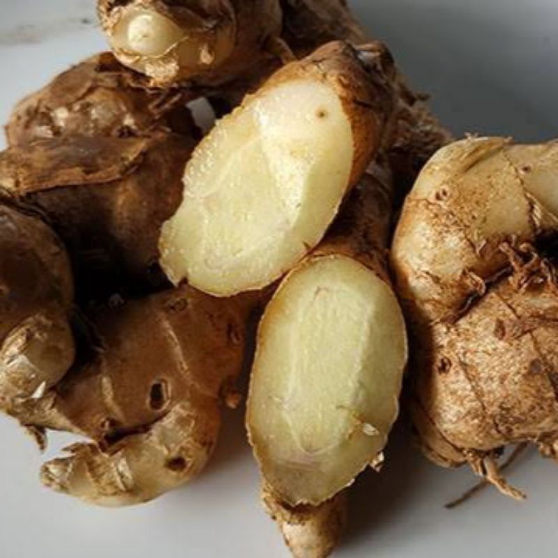 

500gr Kencur Segar Herbal alami