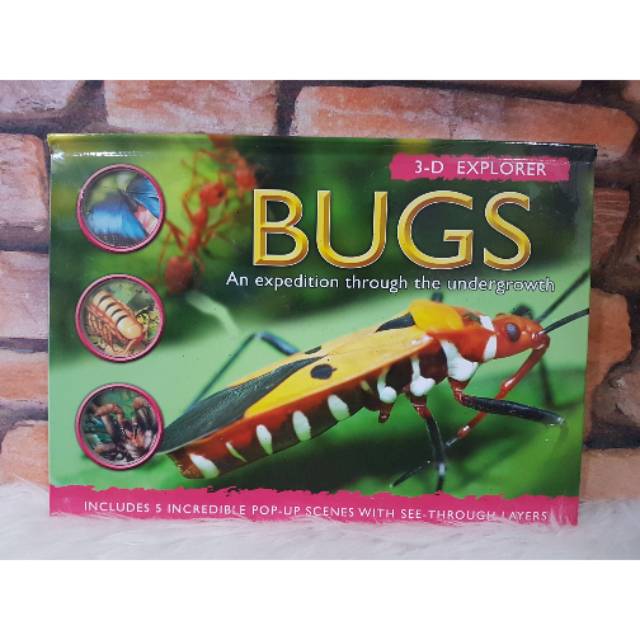 3d Explorer Bugs