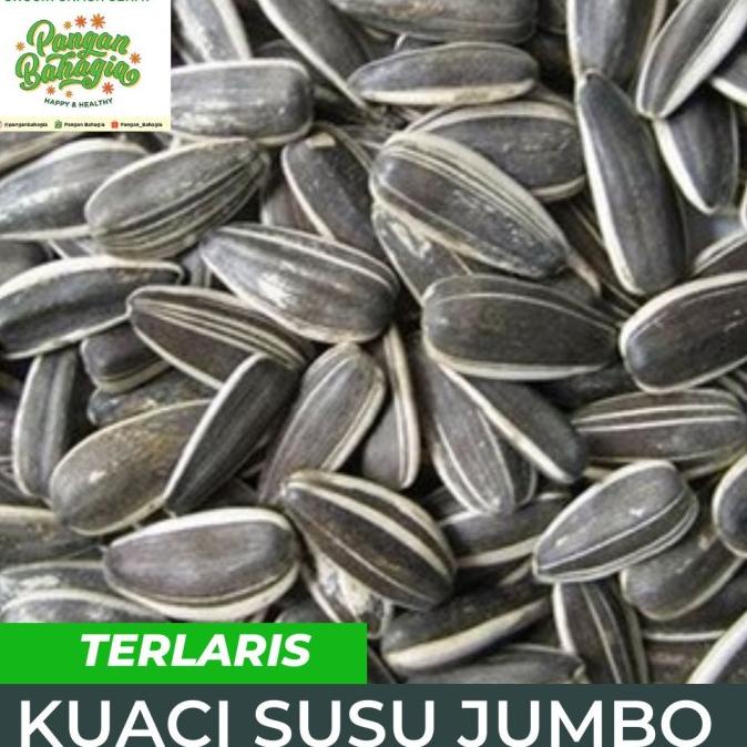 

(BISA COD) Kwaci kuaci bunga matahari JUMBO Rasa Susu 500gr TERUJI Kode 606