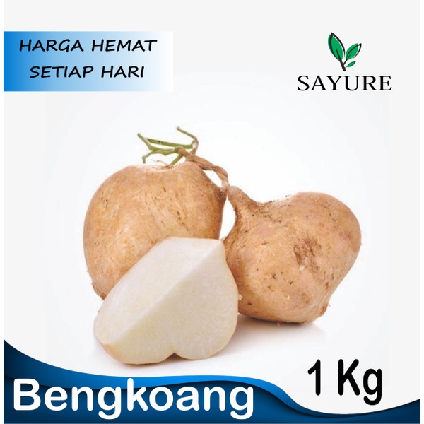 

BENGKOANG SUPER FRESH MURAH 1 KG