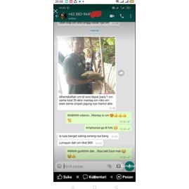 Pengumpul Ikan Bendingan Ganas - Umpan Ikan Mas - Umpan Pancing Dan Bamper Segala Jenis Medan