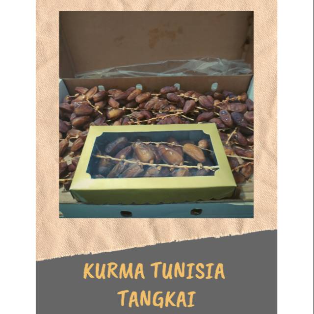 

Kurma Tunisia tangkai