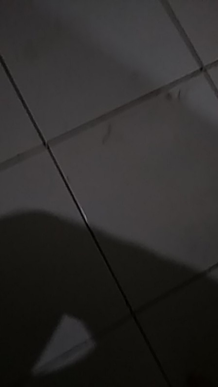 New Arrival Distro Batik Pria Bordir Sogan Hrb026 Batikaf Notoarto Batik Ipnu-ippnu Hem Pria  Bw 113