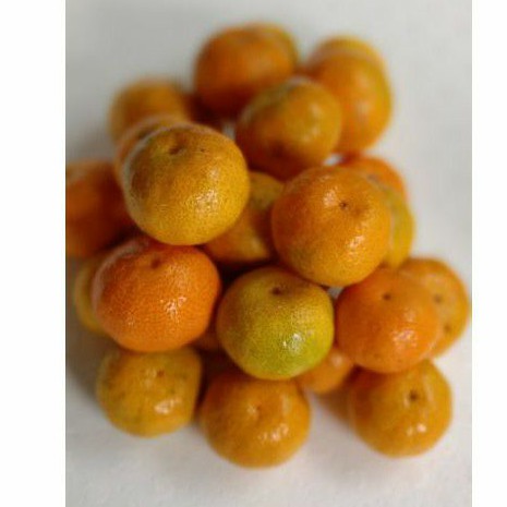 

Jeruk santang madu orange