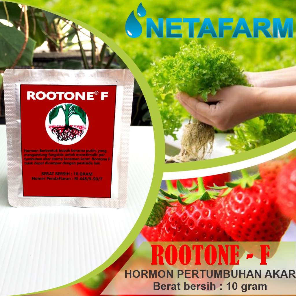 ROOTONE - F Pupuk Hormon Pertumbuhan Akar - Repacking 10gr