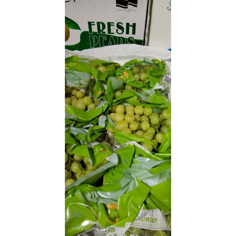 

Anggur Hijau GREEN GRAPESS AUTUMN CRISP SEEDLESS FRESH 1 Box 8 kg