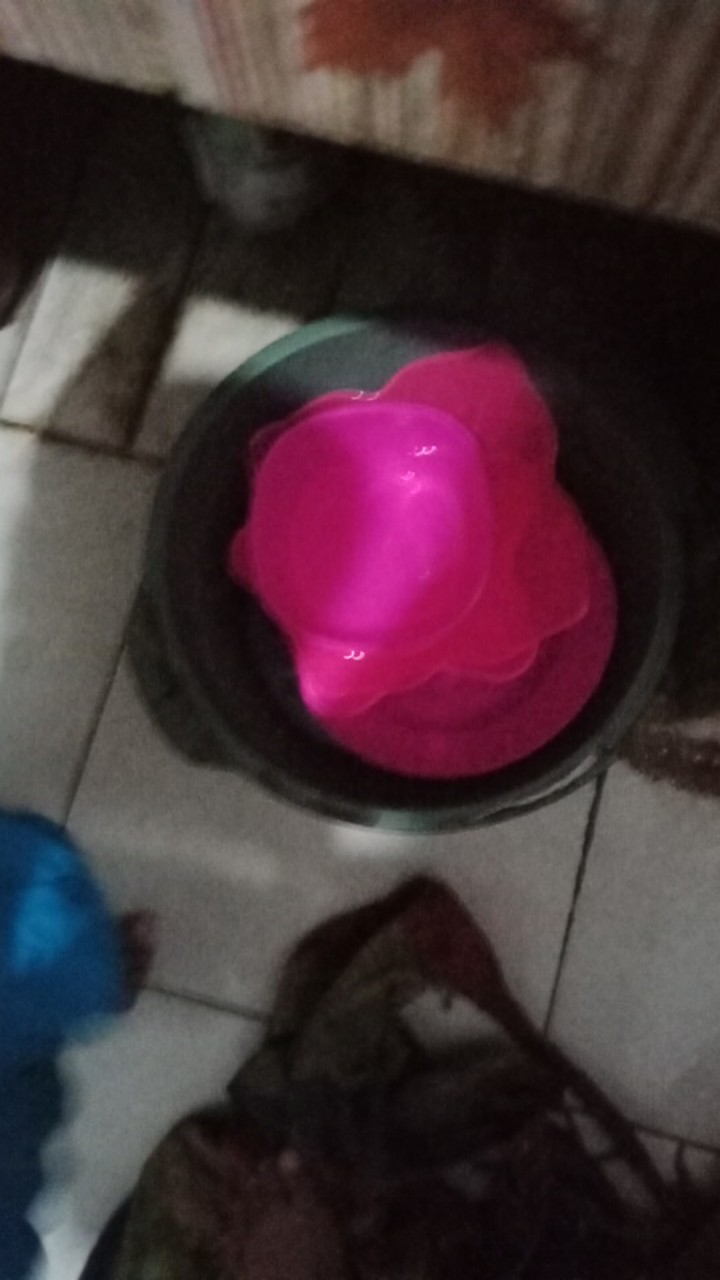 Mangkok Plastik Kyoto