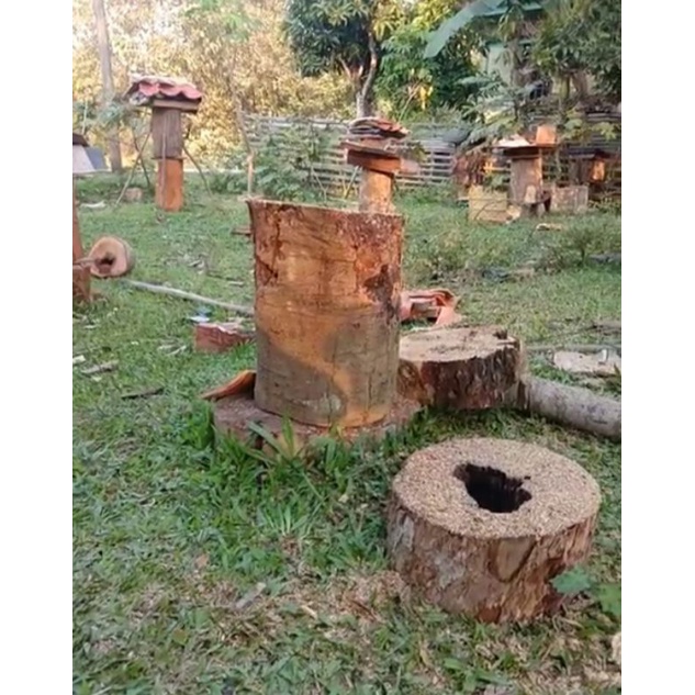 Stup Topping Thoracica