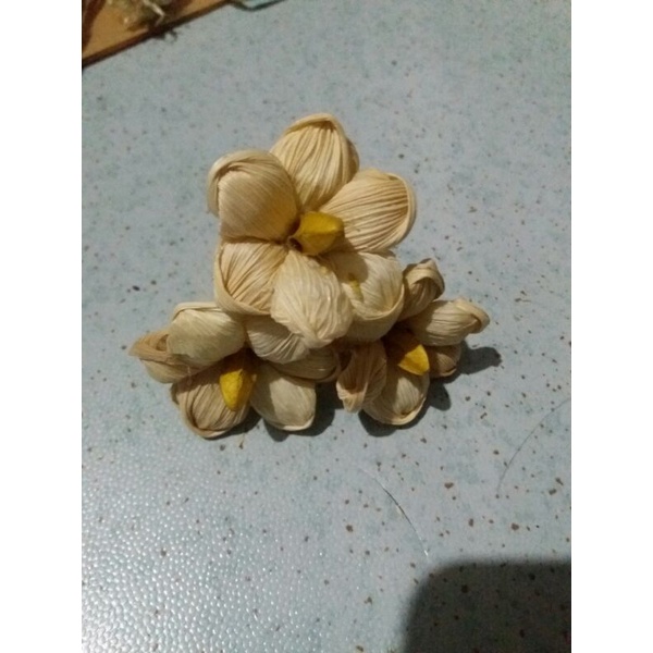 Bunga Kering KLOBOT JAGUNG