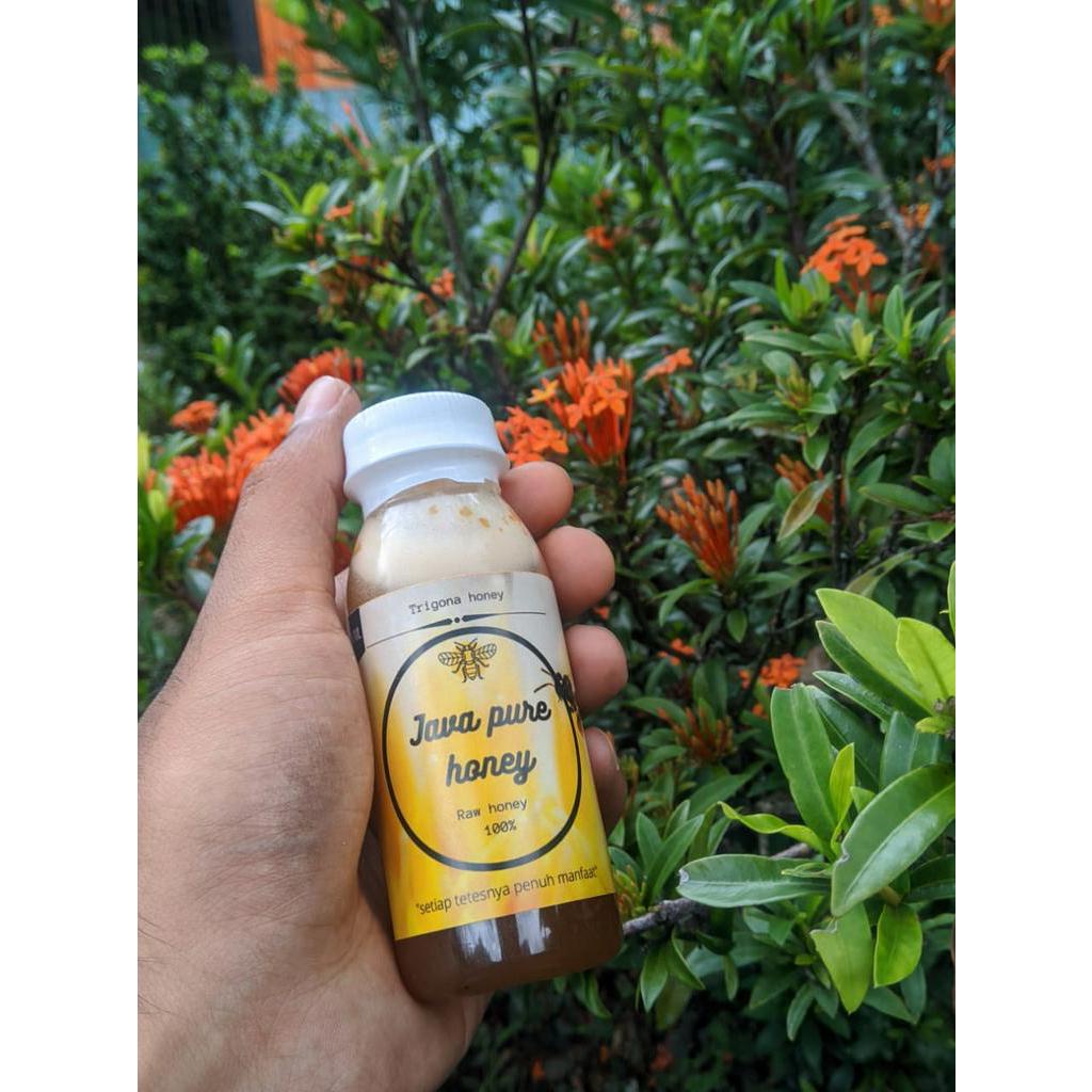 

Madu klanceng 100ml original/madu kesehatan/madu murni/madu enak/madu asam